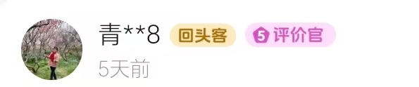 PC-通栏容器06-我们的团队01